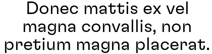 Donec mattis ex vel magna convallis, non pretium magna placerat.